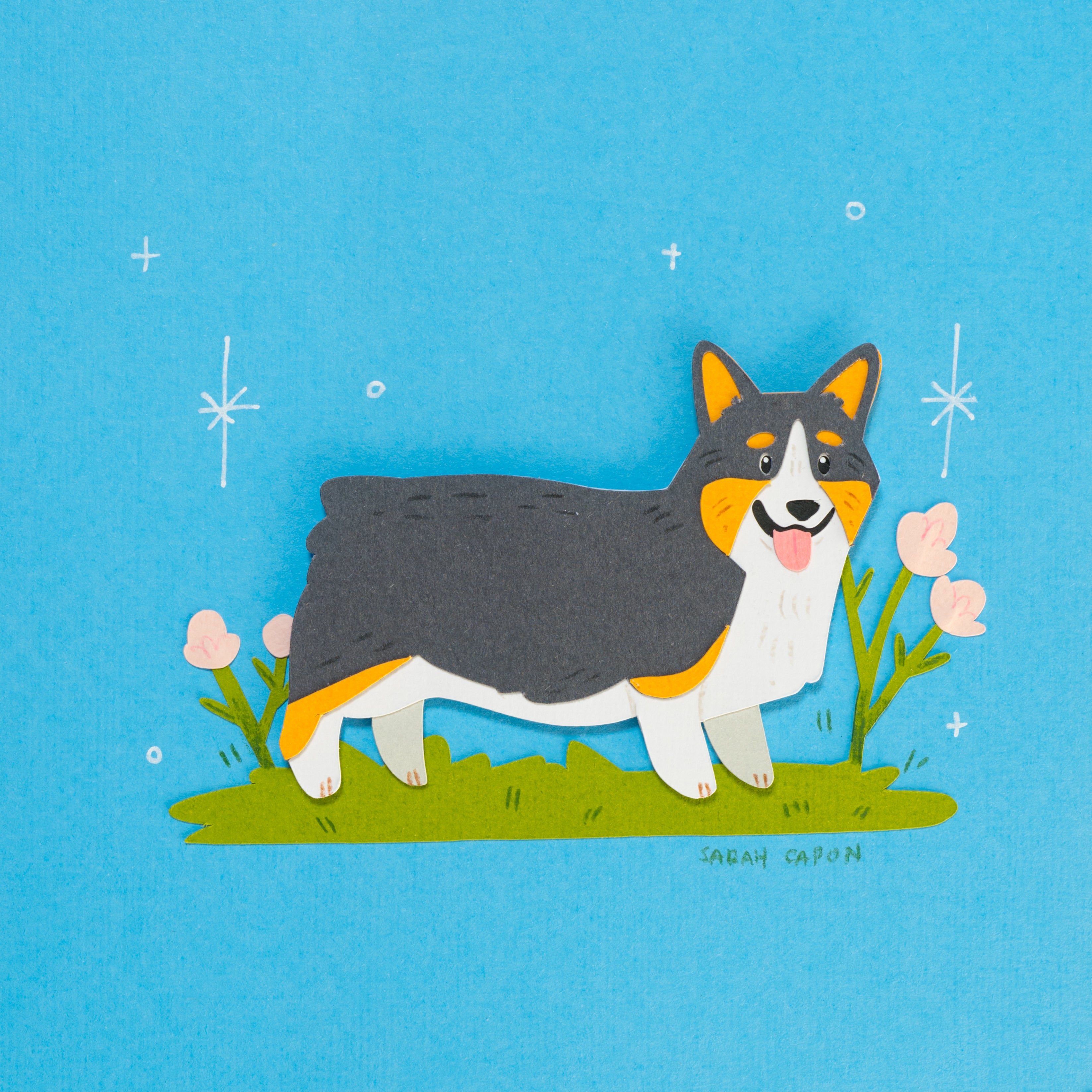 Corgis