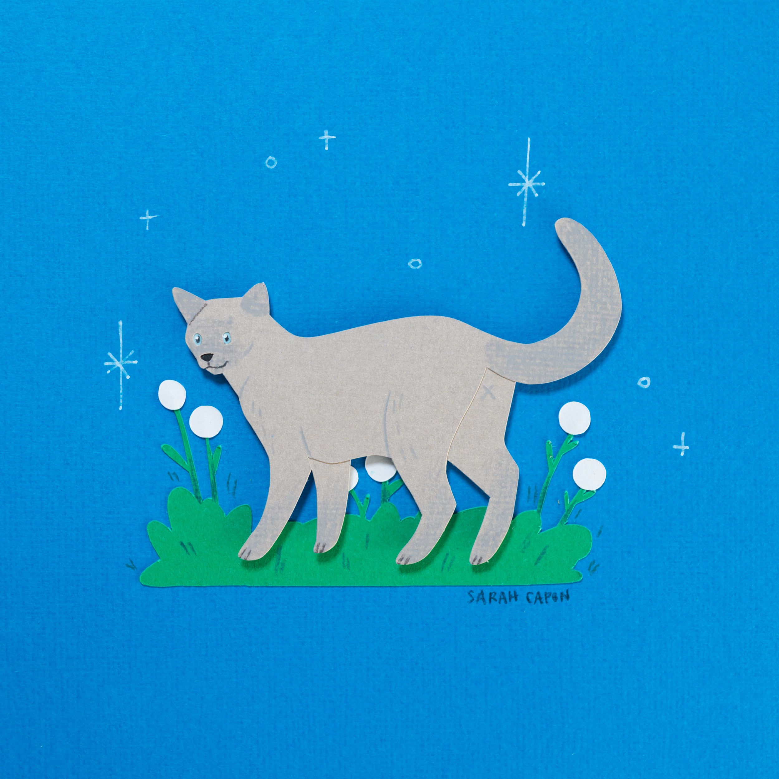 Cats Among Flowers