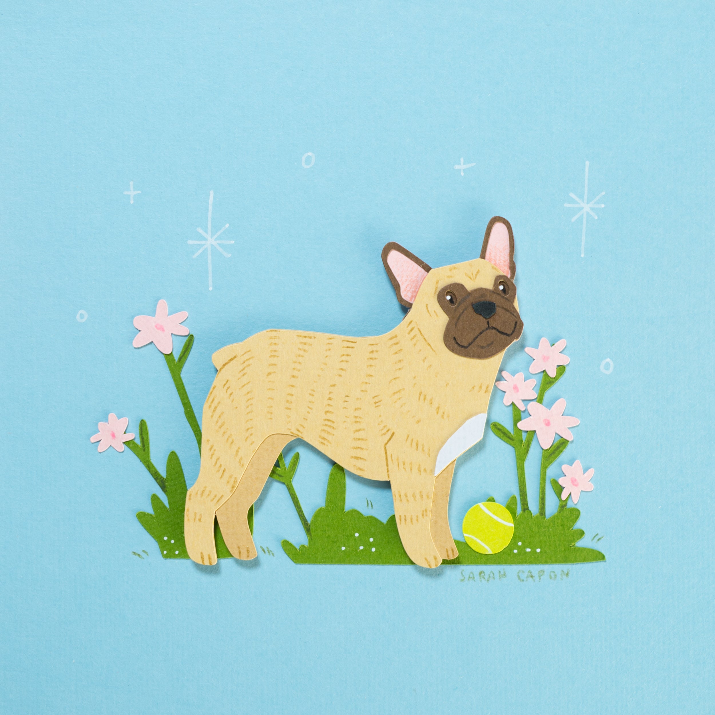 French Bulldogs