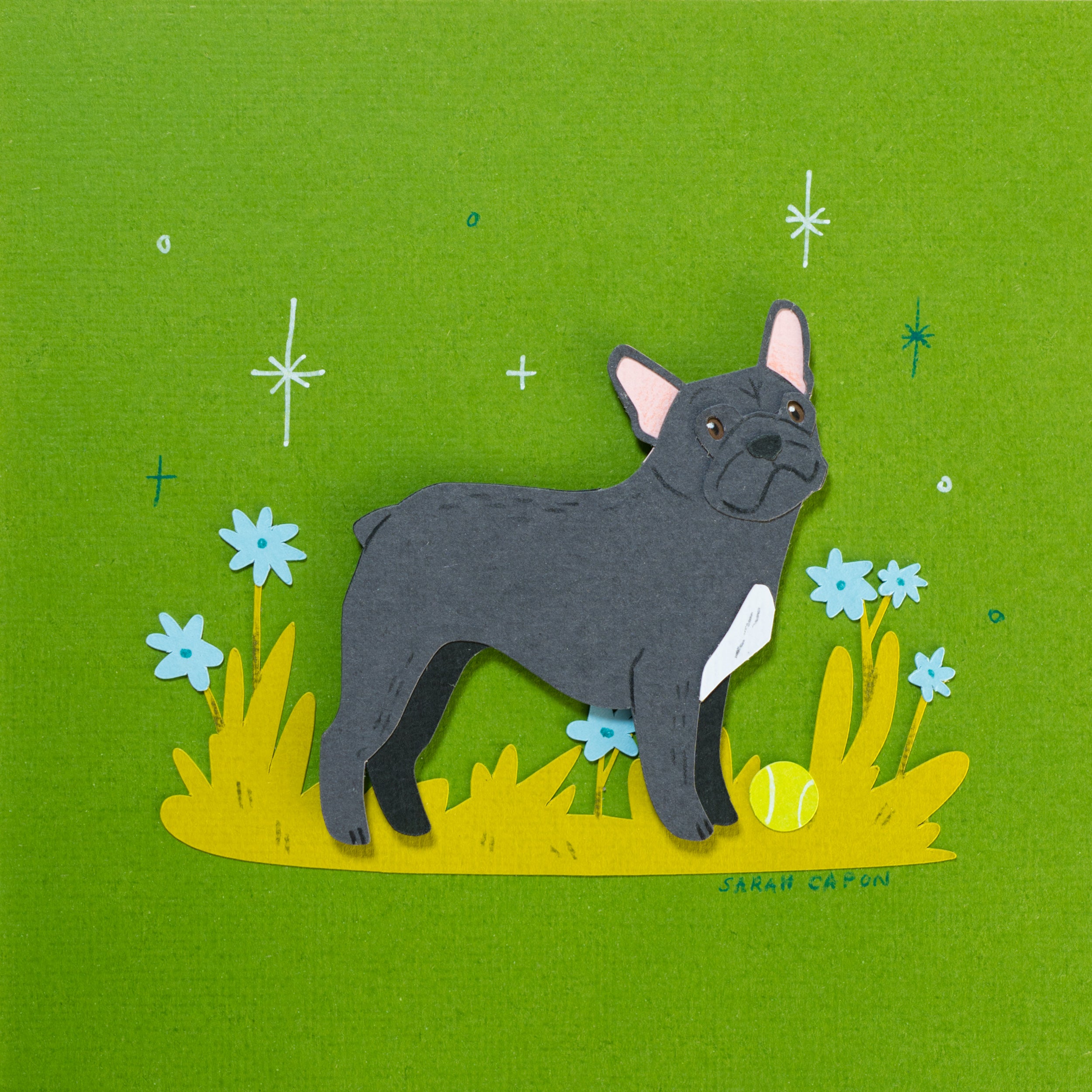 French Bulldogs