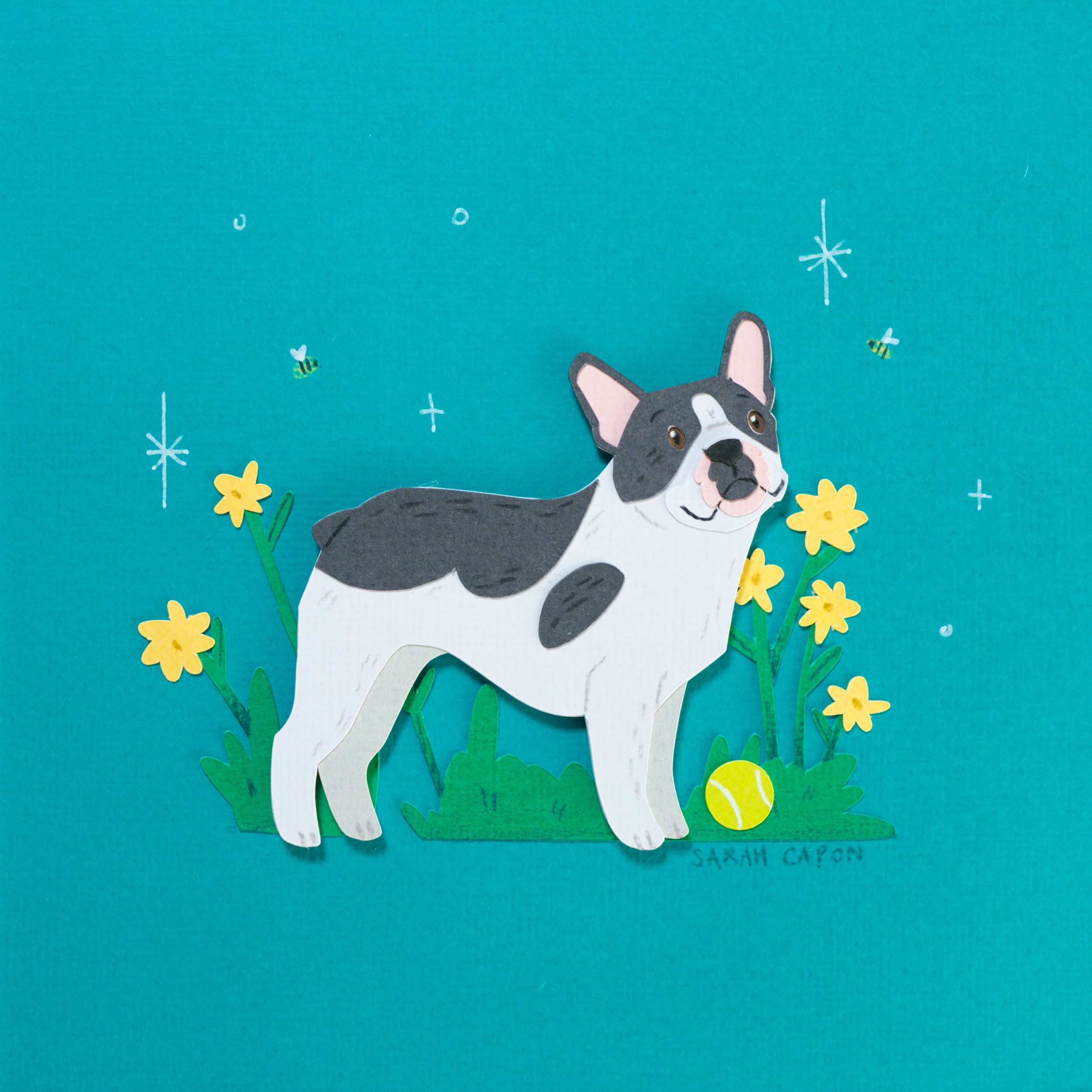 French Bulldogs