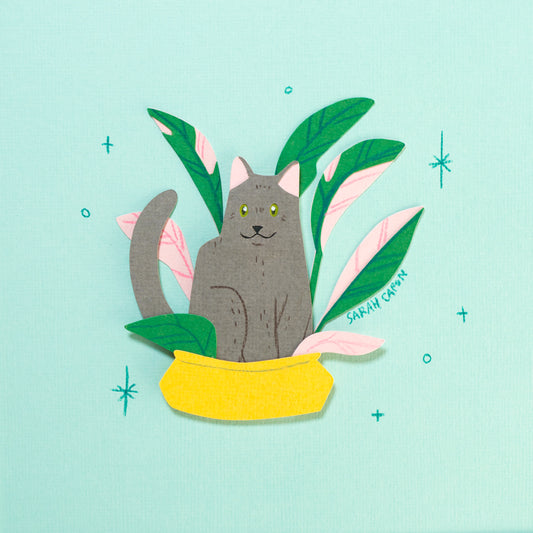 Grey Cats in Plants