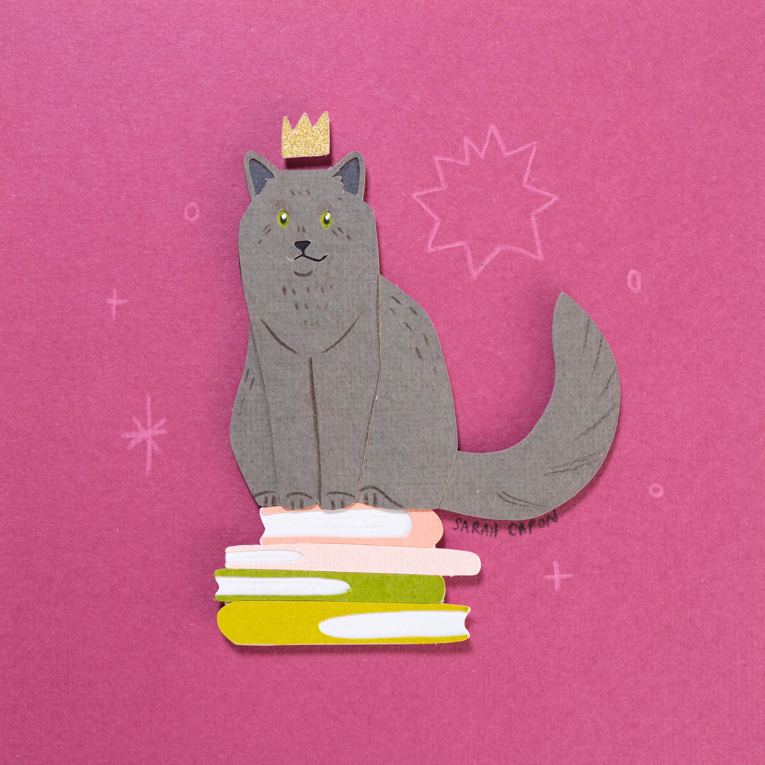 Grey Cats on Books