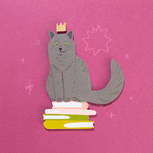 Grey Cats on Books