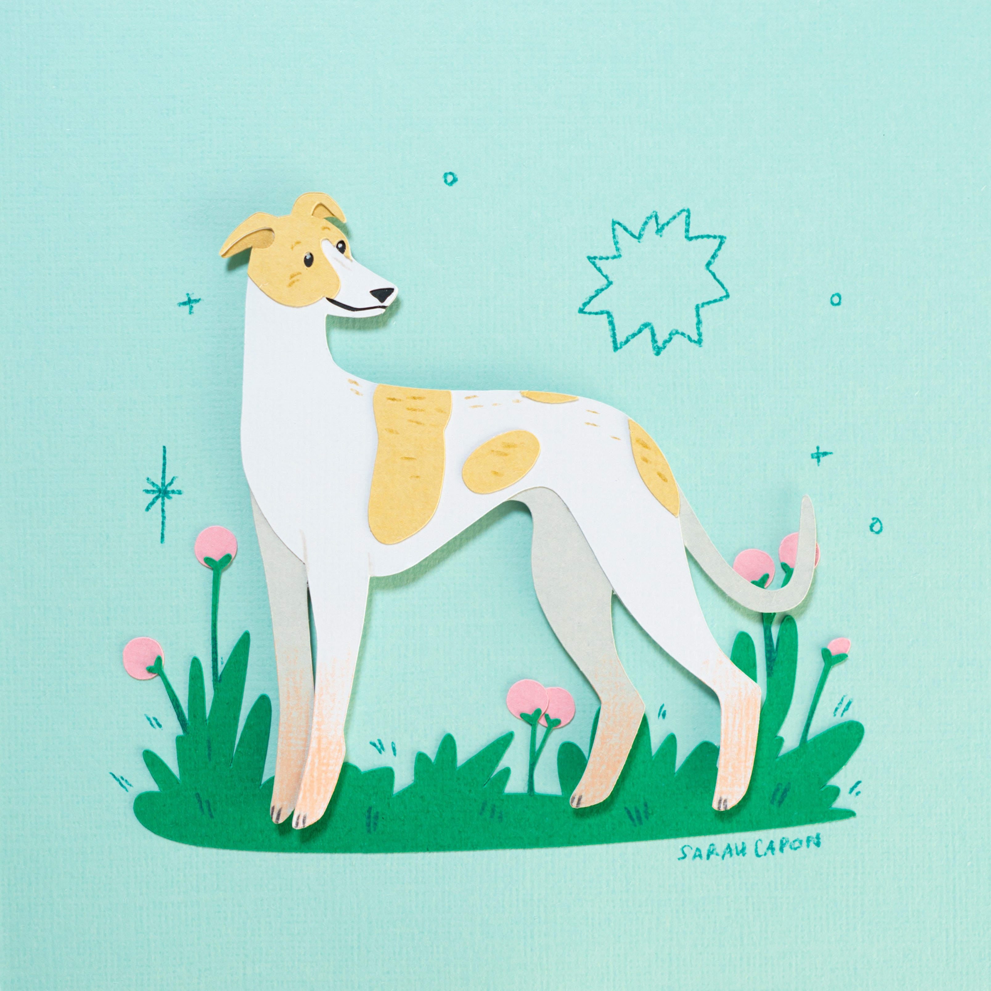 Greyhounds