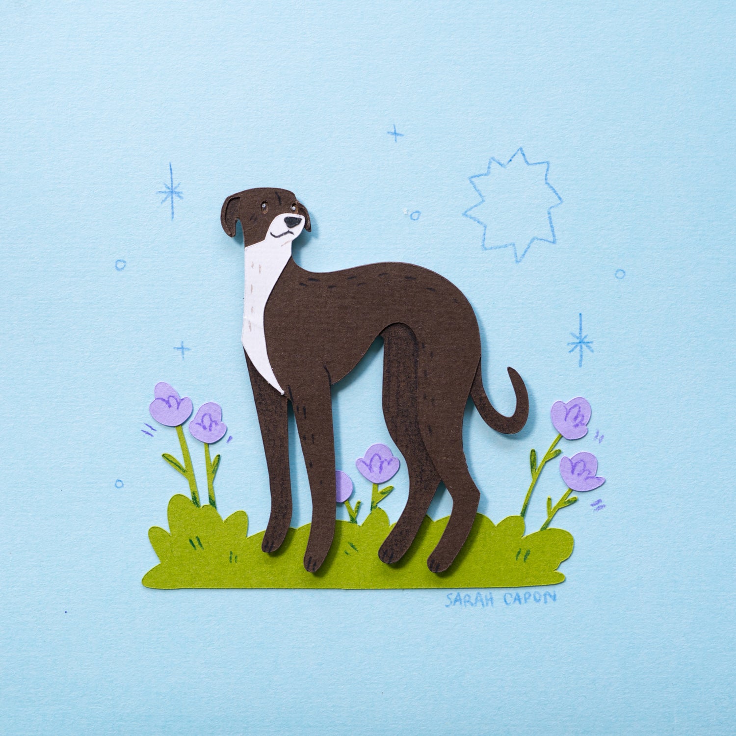 Italian Greyhound
