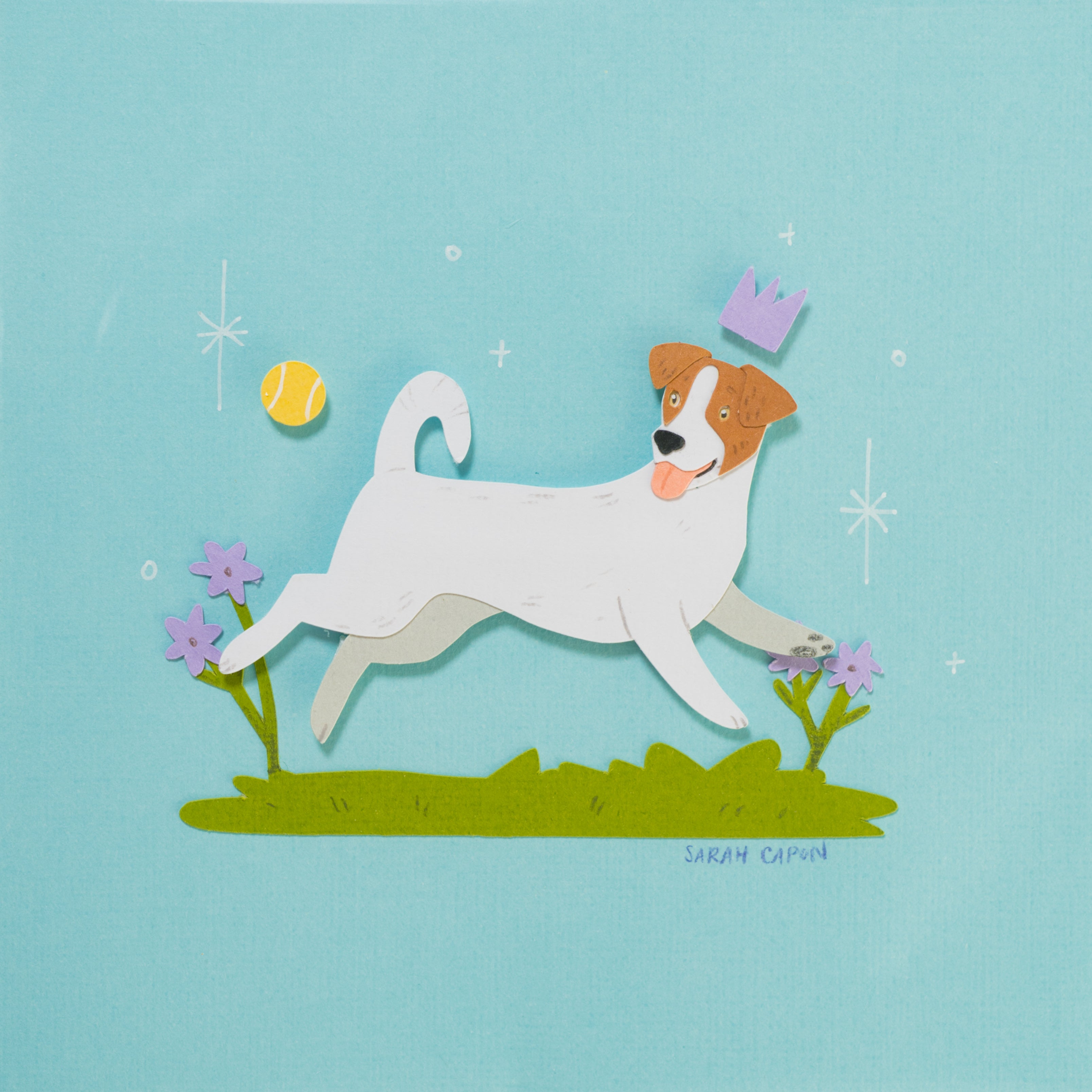 Jack Russells
