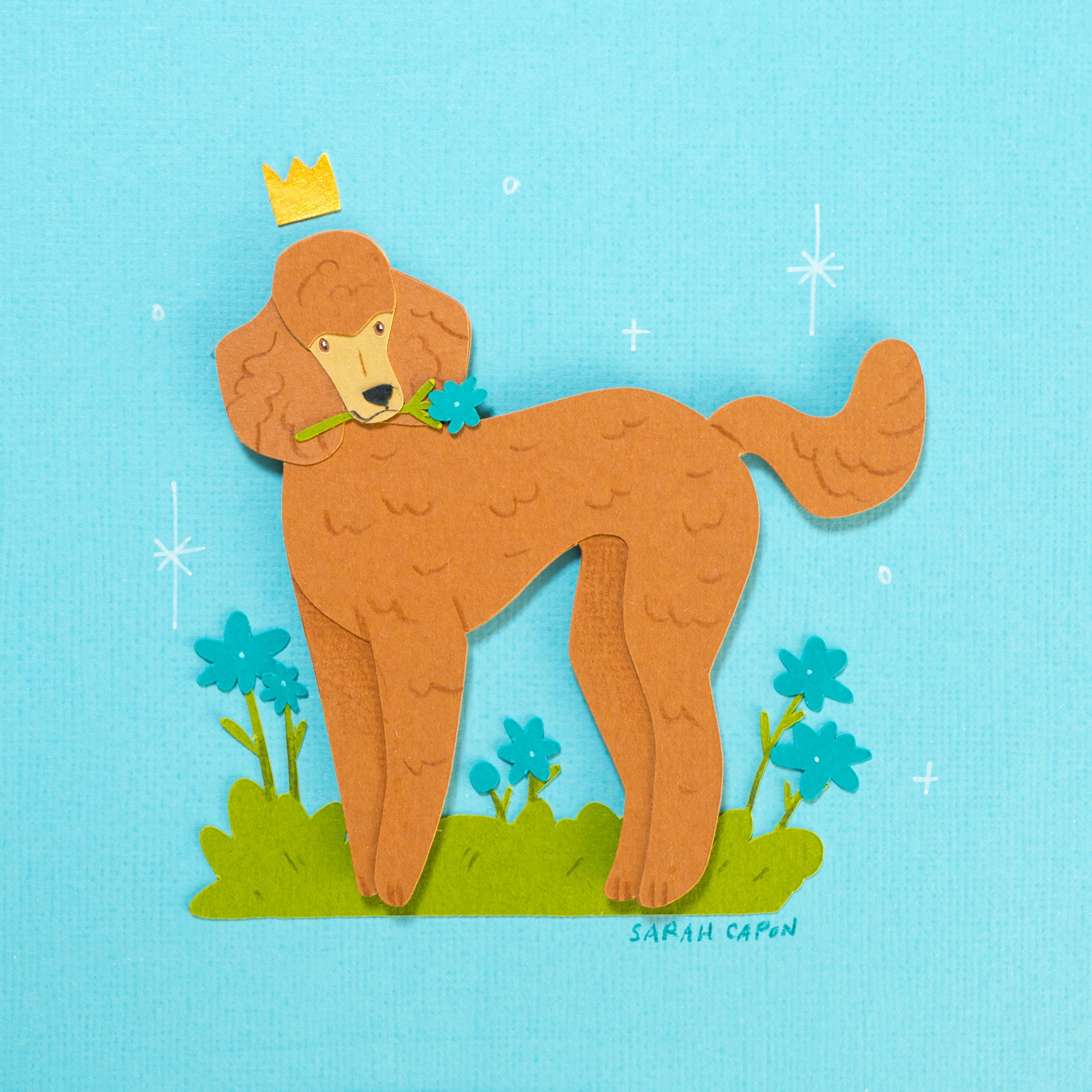 Poodles
