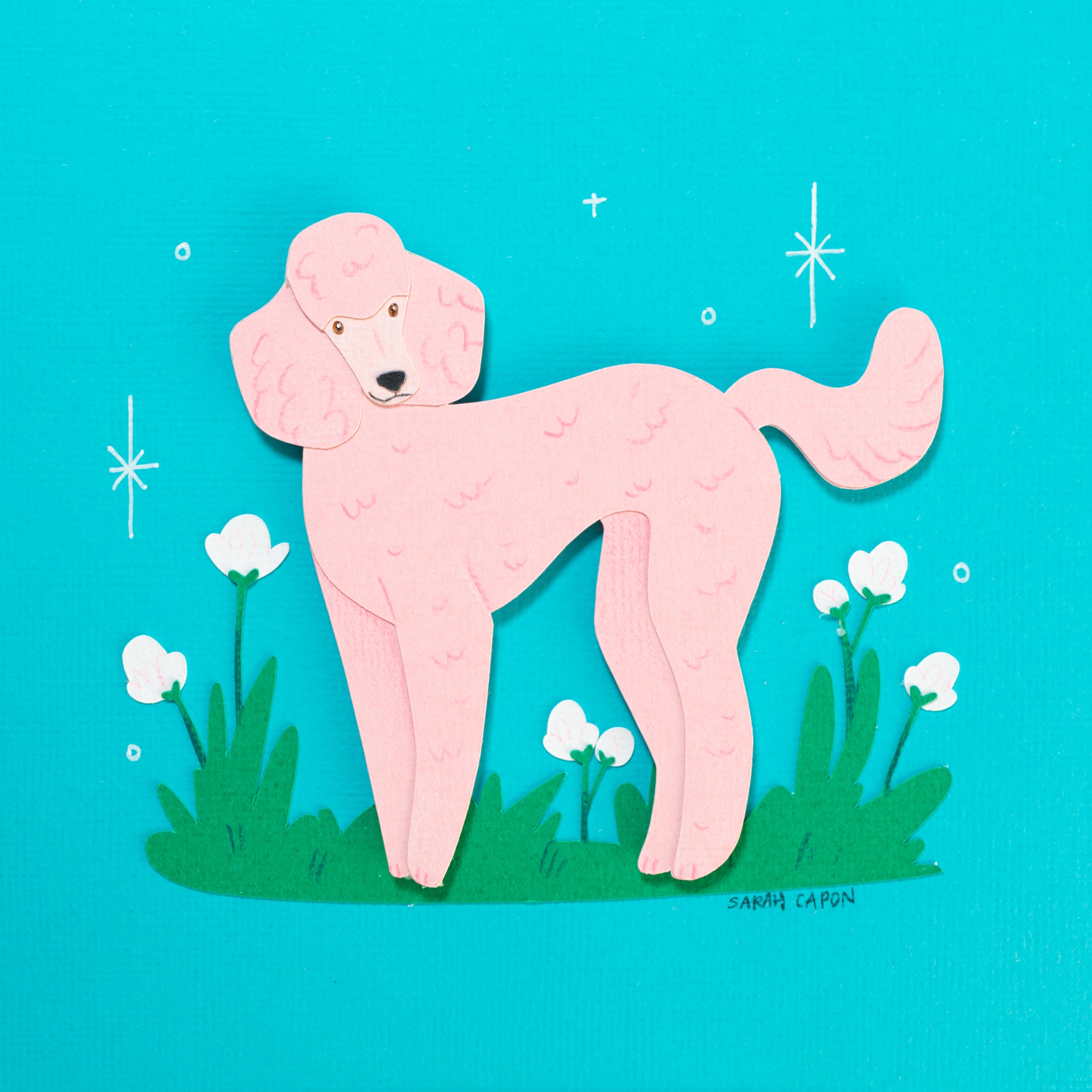 Poodles