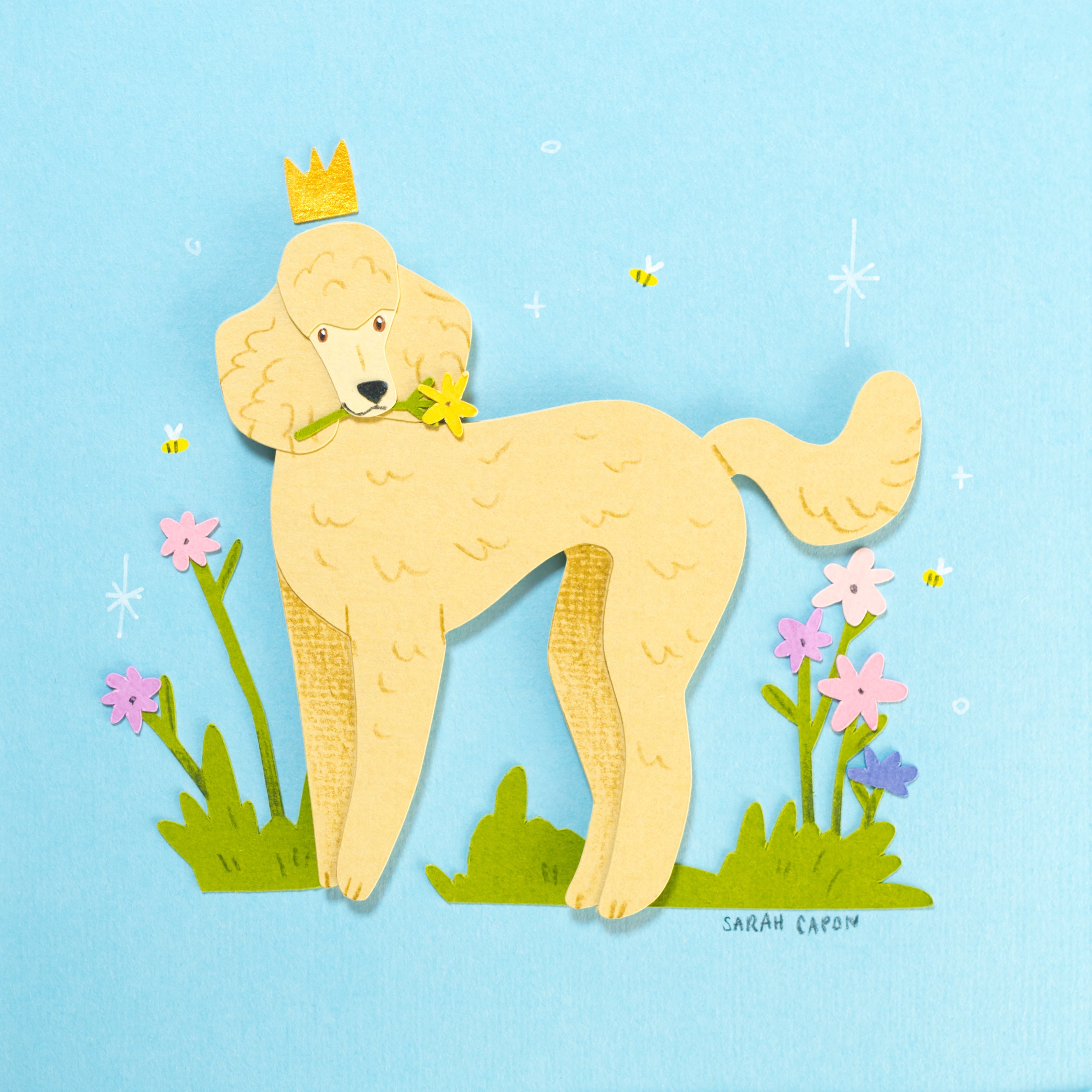 Poodles