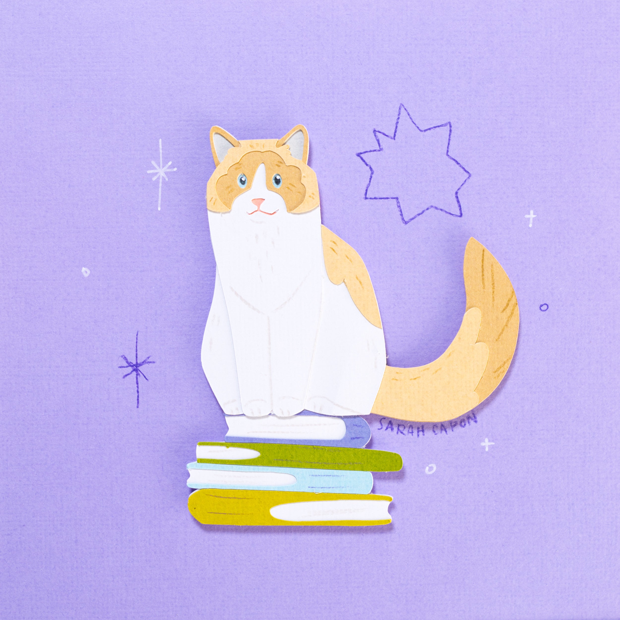 Ragdolls on Books