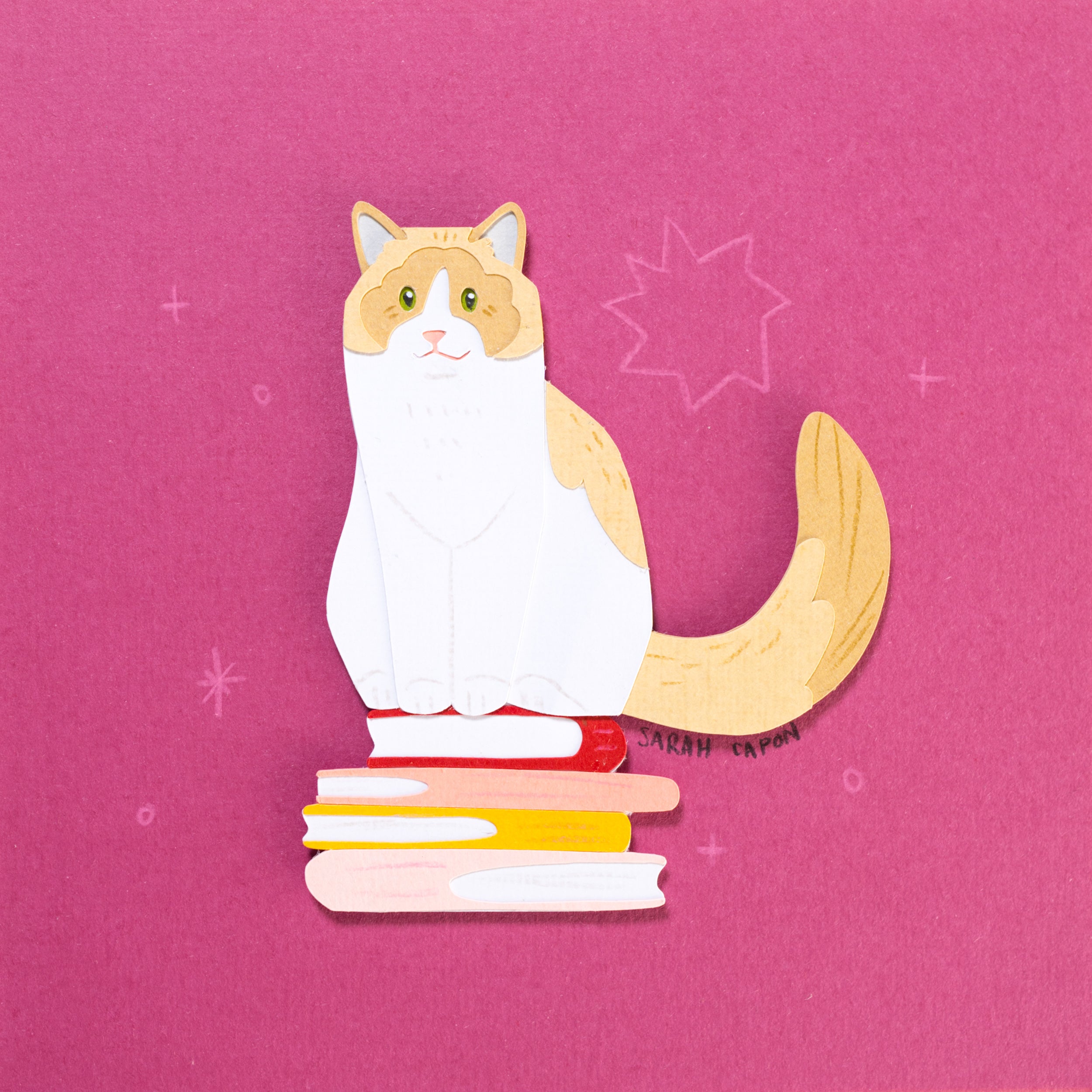 Ragdolls on Books