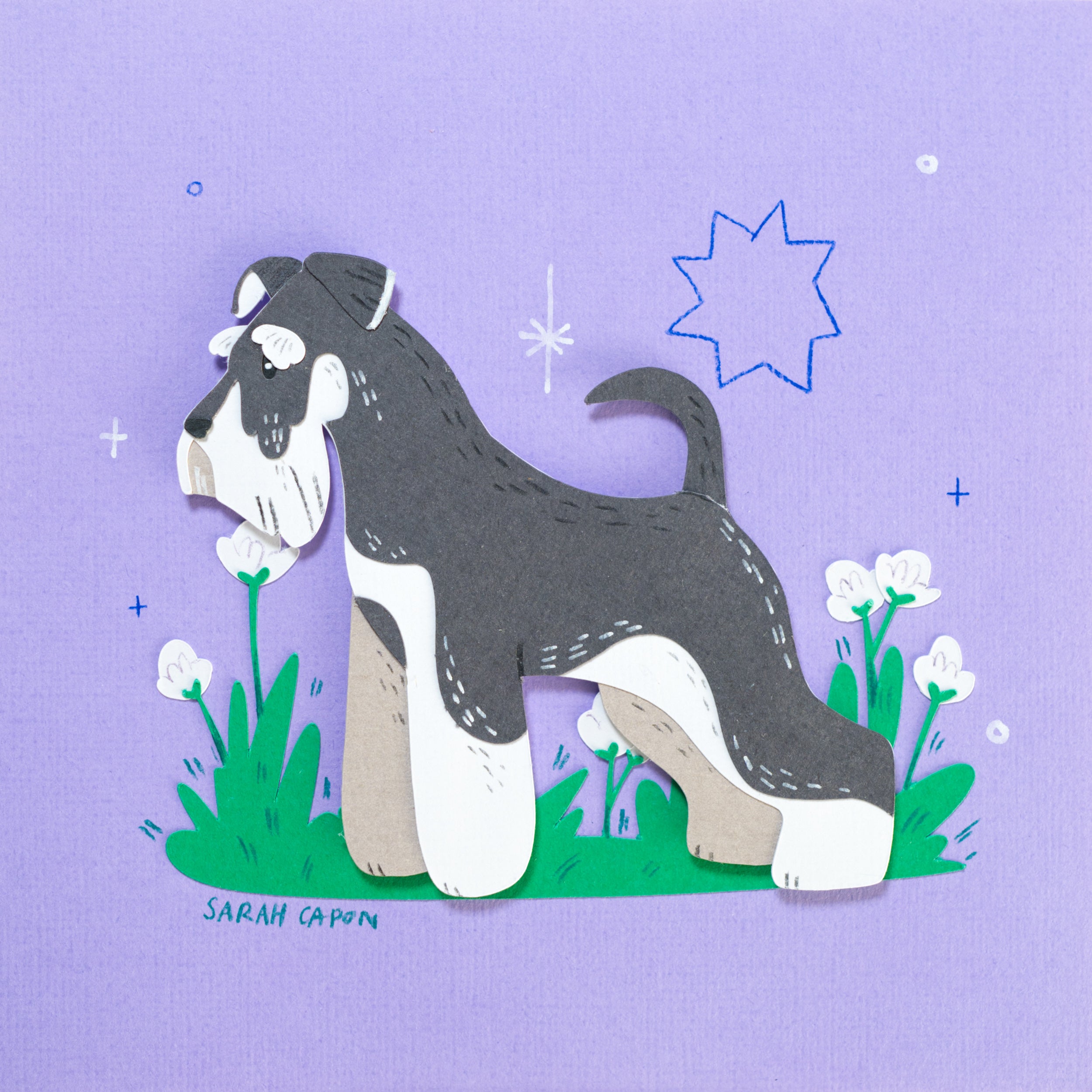 Schnauzers
