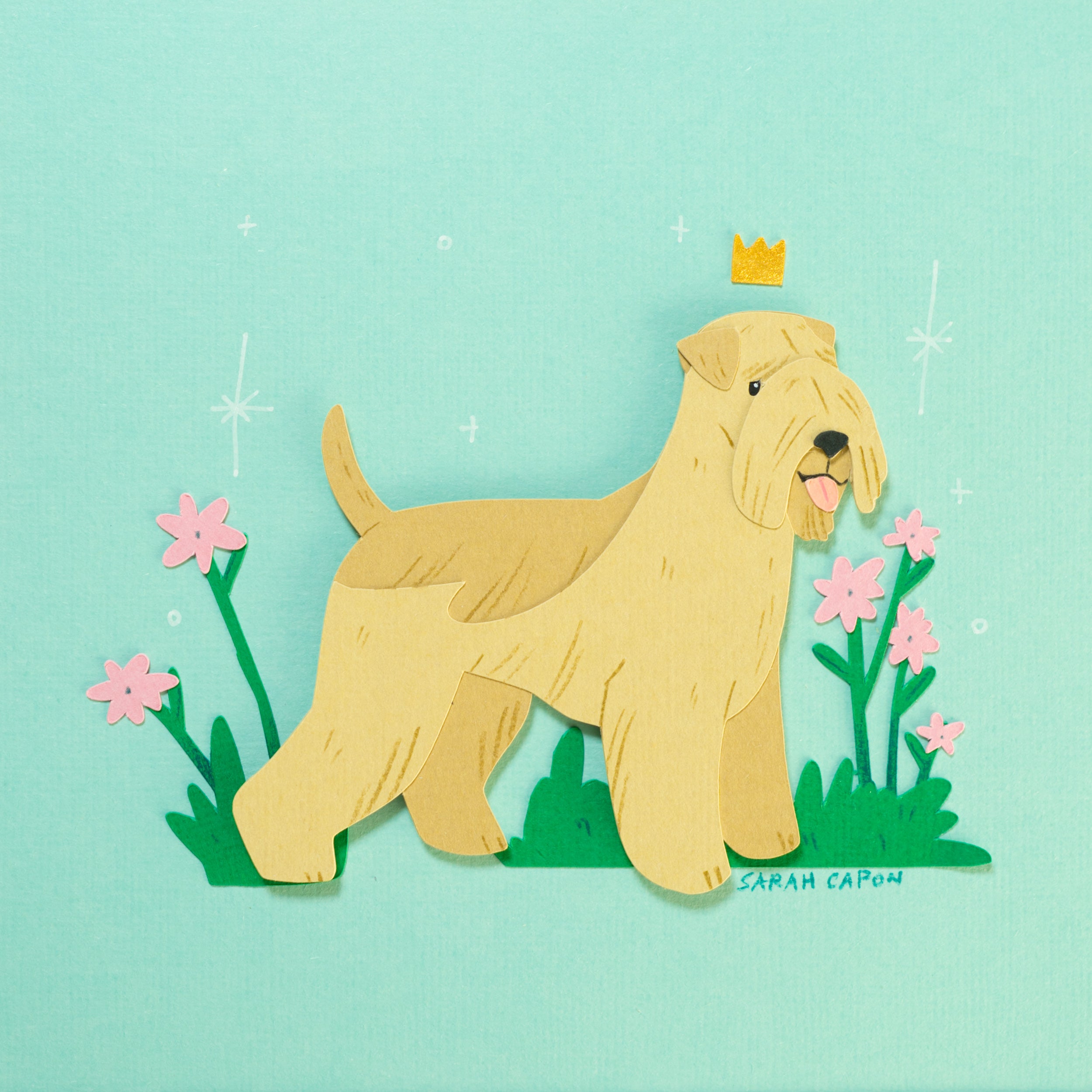 Wheaten Terriers