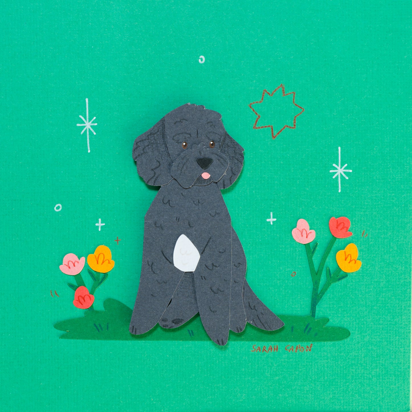 Small Poodle / Oodle