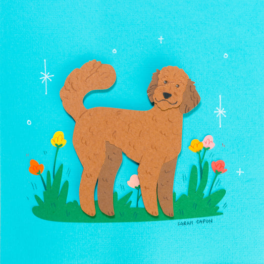 Fluffy Poodle / Oodle