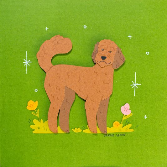 Fluffy Poodle / Oodle