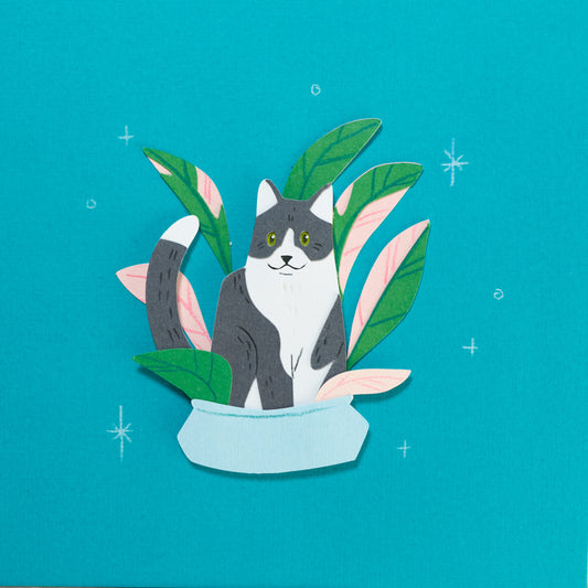 Black and White Cats in Plants