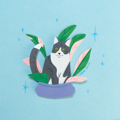 Black and White Cats in Plants