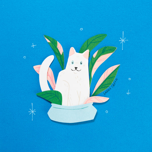 White Cats in Plants